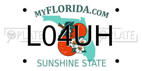 L04UH Florida License Plate