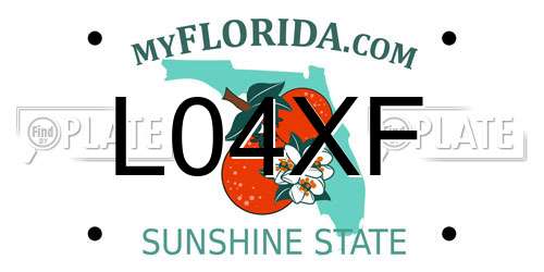 L04XF Florida License Plate
