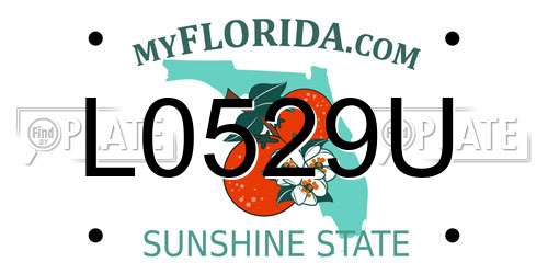 L0529U Florida License Plate