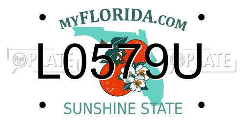 L0579U Florida License Plate