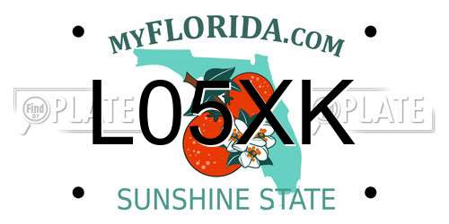 L05XK Florida License Plate