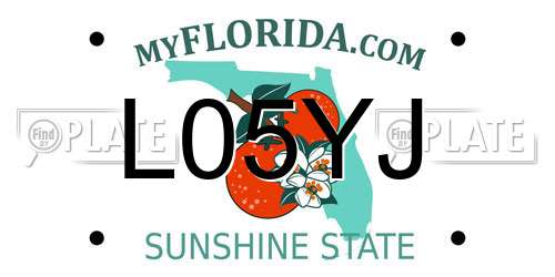 L05YJ Florida License Plate