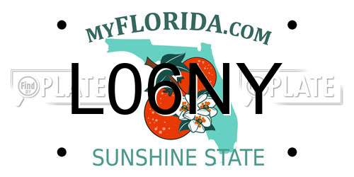 L06NY Florida License Plate