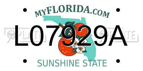 L07929A Florida License Plate