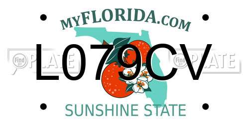 L079CV Florida License Plate