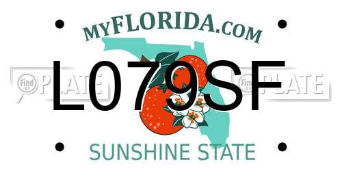 L079SF Florida License Plate