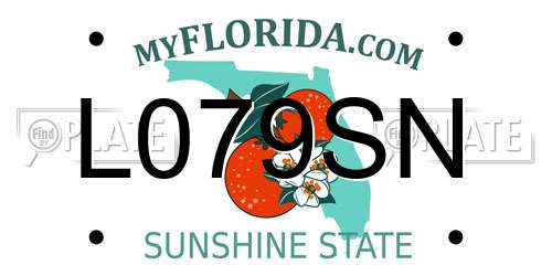 L079SN Florida License Plate