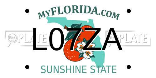 L07ZA Florida License Plate