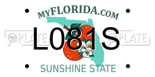 L081S Florida License Plate