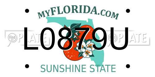 L0879U Florida License Plate