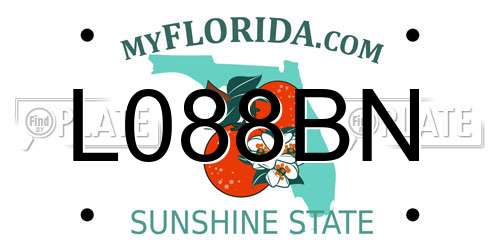 L088BN Florida License Plate