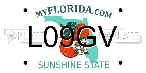 L09GV Florida License Plate