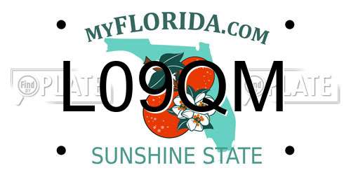 L09QM Florida License Plate