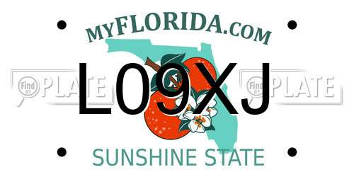 L09XJ Florida License Plate