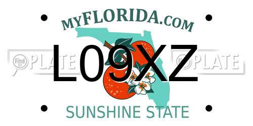 L09XZ Florida License Plate