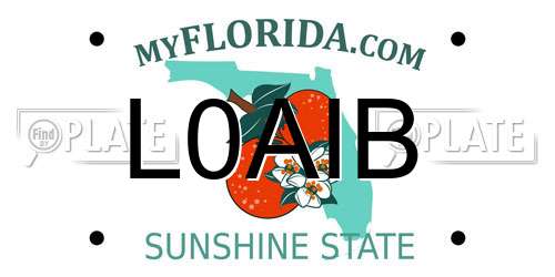 L0AIB Florida License Plate