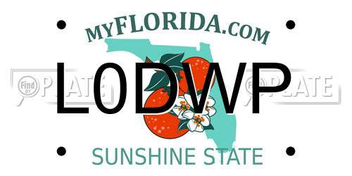 L0DWP Florida License Plate