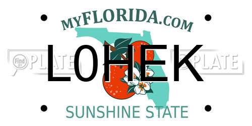 L0HEK Florida License Plate