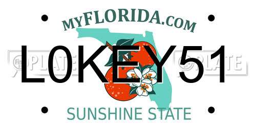 L0KEY51 Florida License Plate