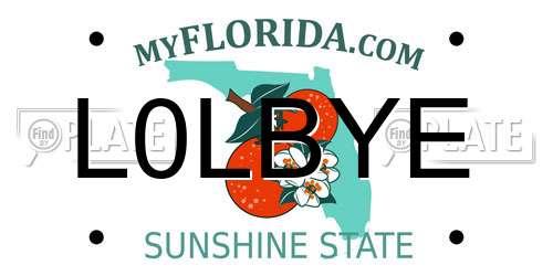 L0LBYE Florida License Plate