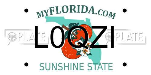 L0QZI Florida License Plate