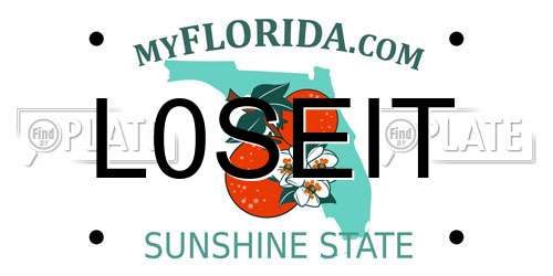 L0SEIT Florida License Plate