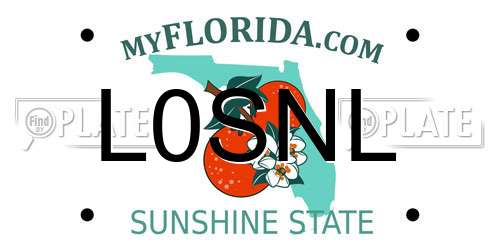 L0SNL Florida License Plate