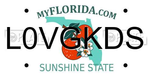 L0VGKDS Florida License Plate
