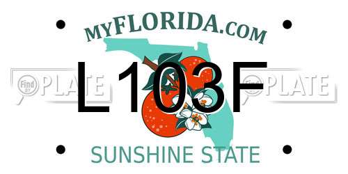 L103F Florida License Plate