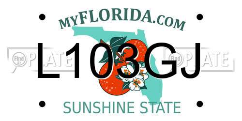 L103GJ Florida License Plate