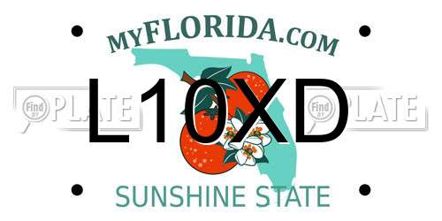 L10XD Florida License Plate