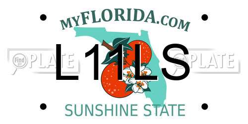 L11LS Florida License Plate