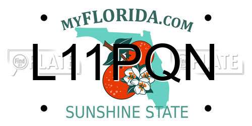 L11PQN Florida License Plate