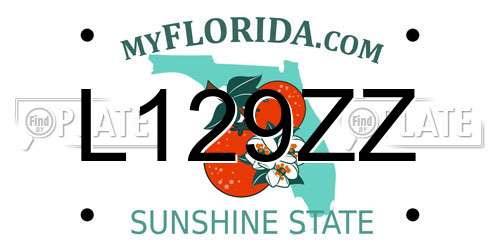 L129ZZ Florida License Plate
