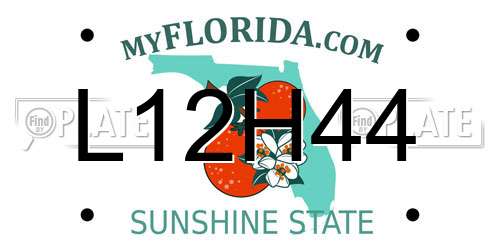 L12H44 Florida License Plate