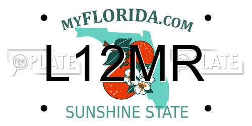 L12MR Florida License Plate