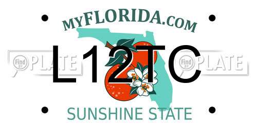 L12TC Florida License Plate
