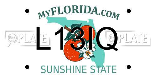 L13IQ Florida License Plate