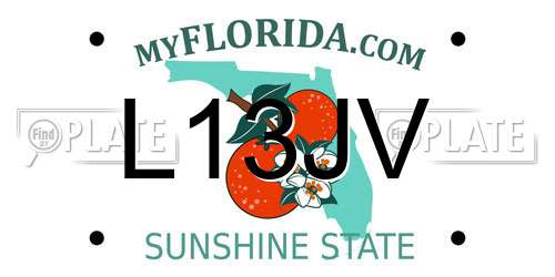 L13JV Florida License Plate