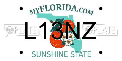 L13NZ Florida License Plate