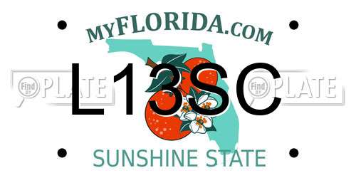 L13SC Florida License Plate