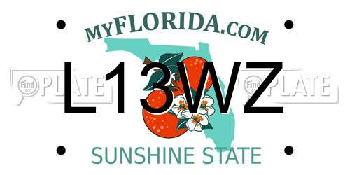 L13WZ Florida License Plate