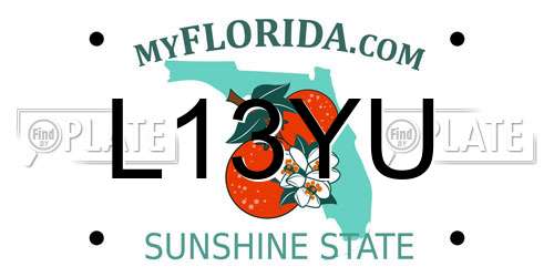 L13YU Florida License Plate