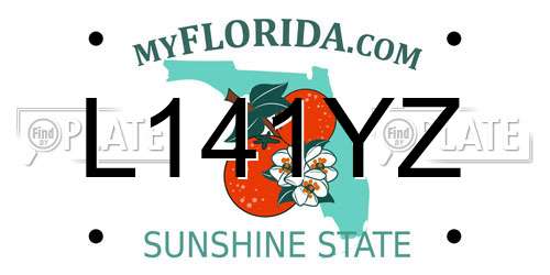 L141YZ Florida License Plate