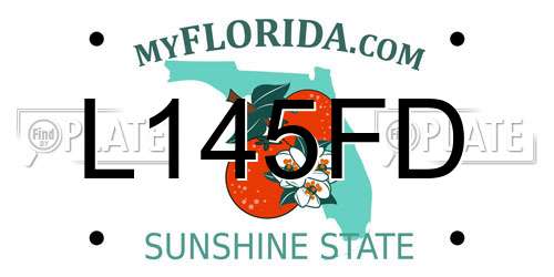L145FD Florida License Plate