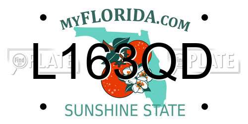 L163QD Florida License Plate