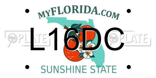 L16DC Florida License Plate