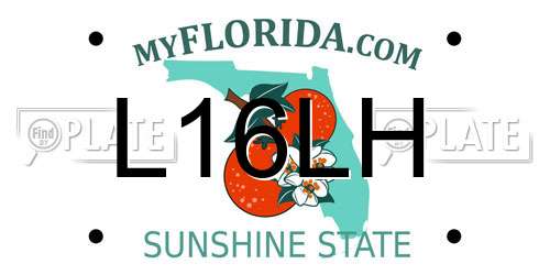 L16LH Florida License Plate