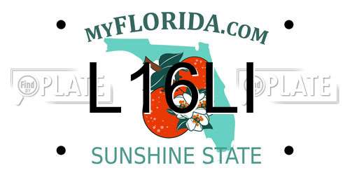 L16LI Florida License Plate