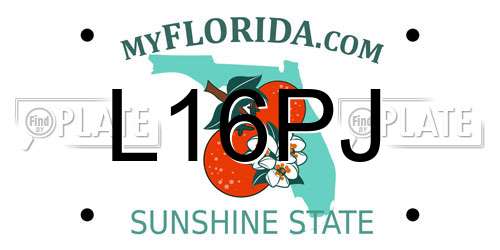 L16PJ Florida License Plate